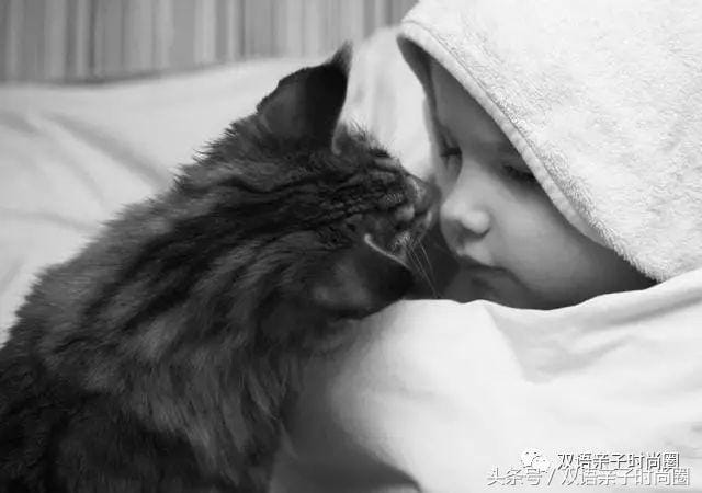 孩子，你不比谁差，只是与众不同！超暖心童话：女孩和猫咪的故事