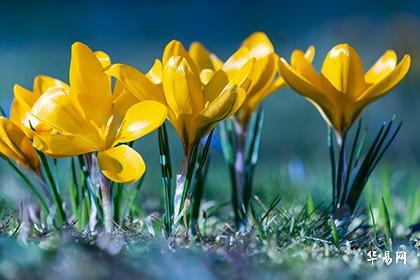 四柱伏吟再逢流年伏吟,十神全方位看伏吟和反吟