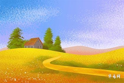 办公室风水养鱼多少条为佳,办公室养鱼的注意事项