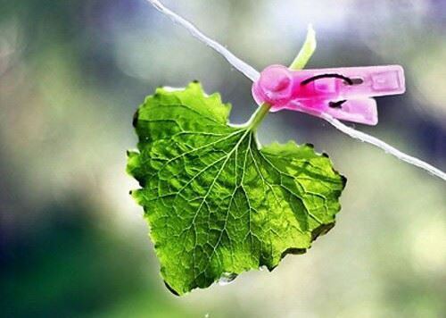 表示有智慧的字男孩名字