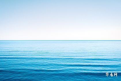 属狗人一生的能靠谁,属狗最爱的人是谁