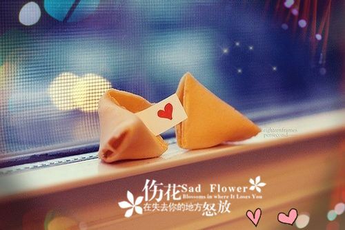 宠媳妇的情侣网名最火