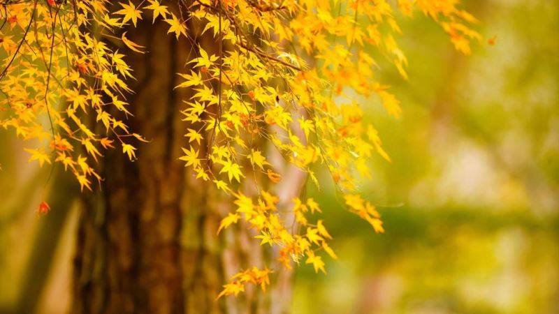 小情侣网名霸气恩爱