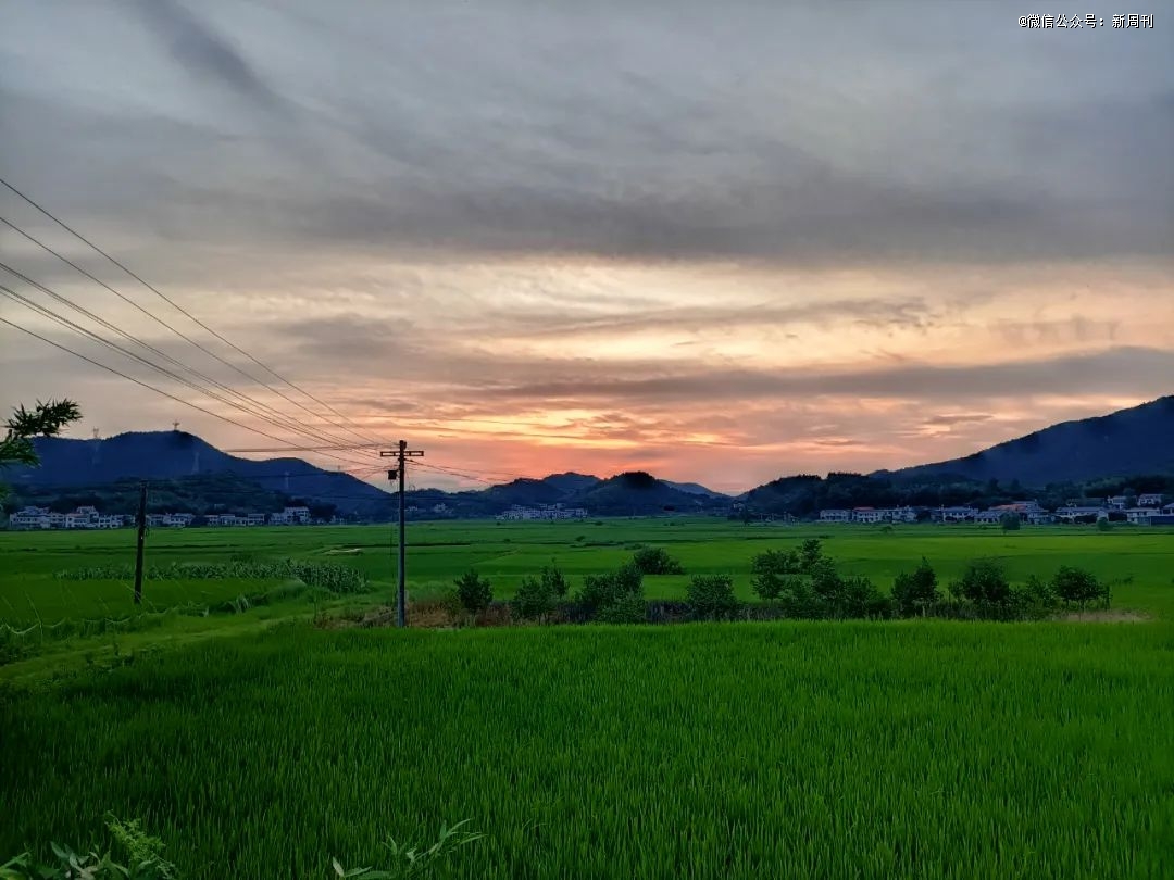 直通「铁饭碗」的专科小清华，比985还香